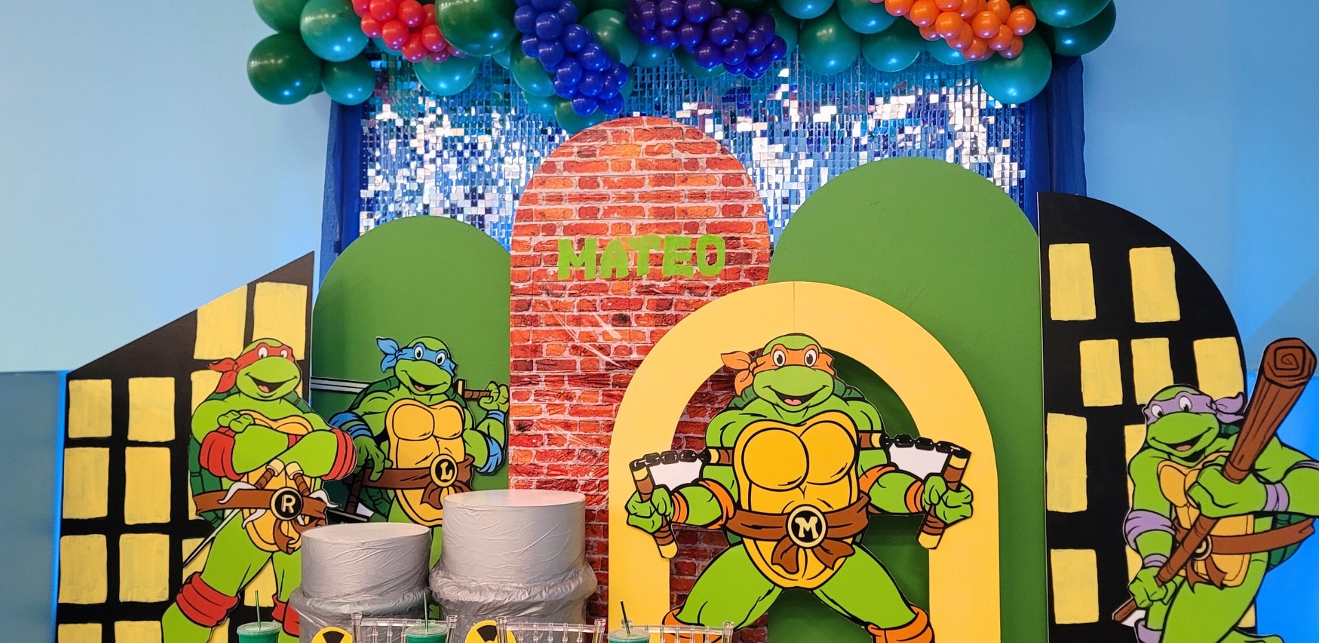 Ninja Turtle Party Room Theme