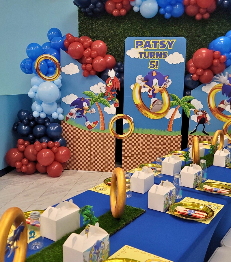 Sonic Kids Birthday Party for Patsy at Kidz Kastle Private Party Venue 