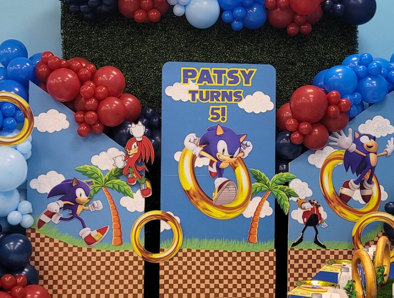 Amazing Sonic Kids Party at Kidz Kastle